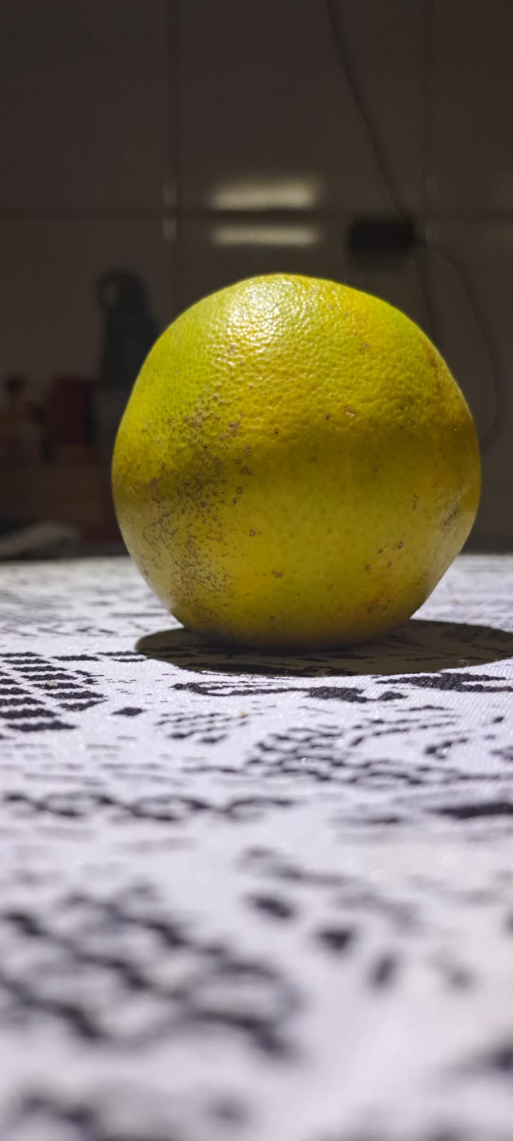 Foto de Antonio Ribeiro Duarte
