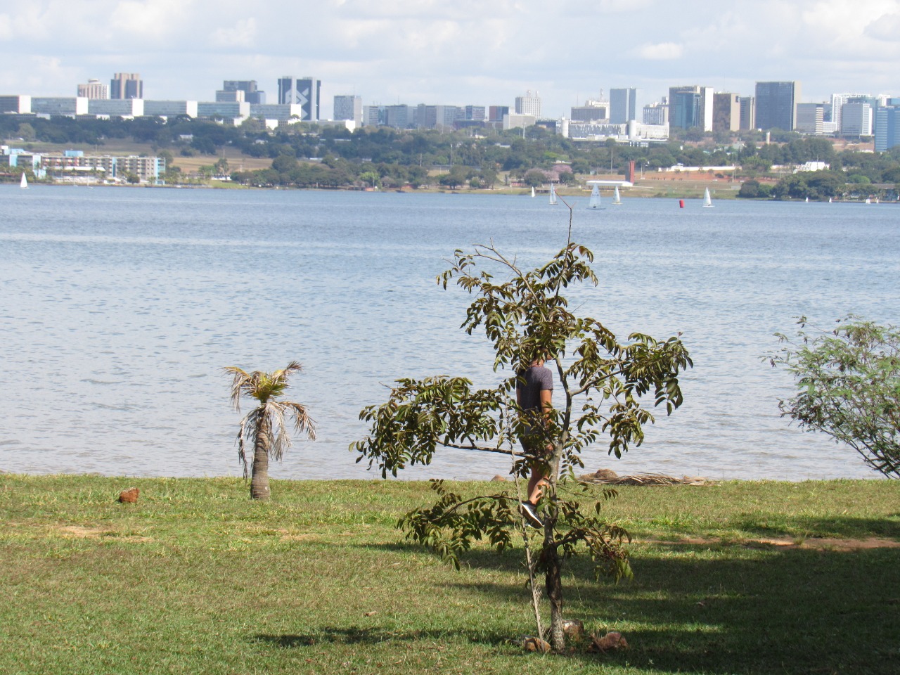 Foto de Antonio Ribeiro Duarte